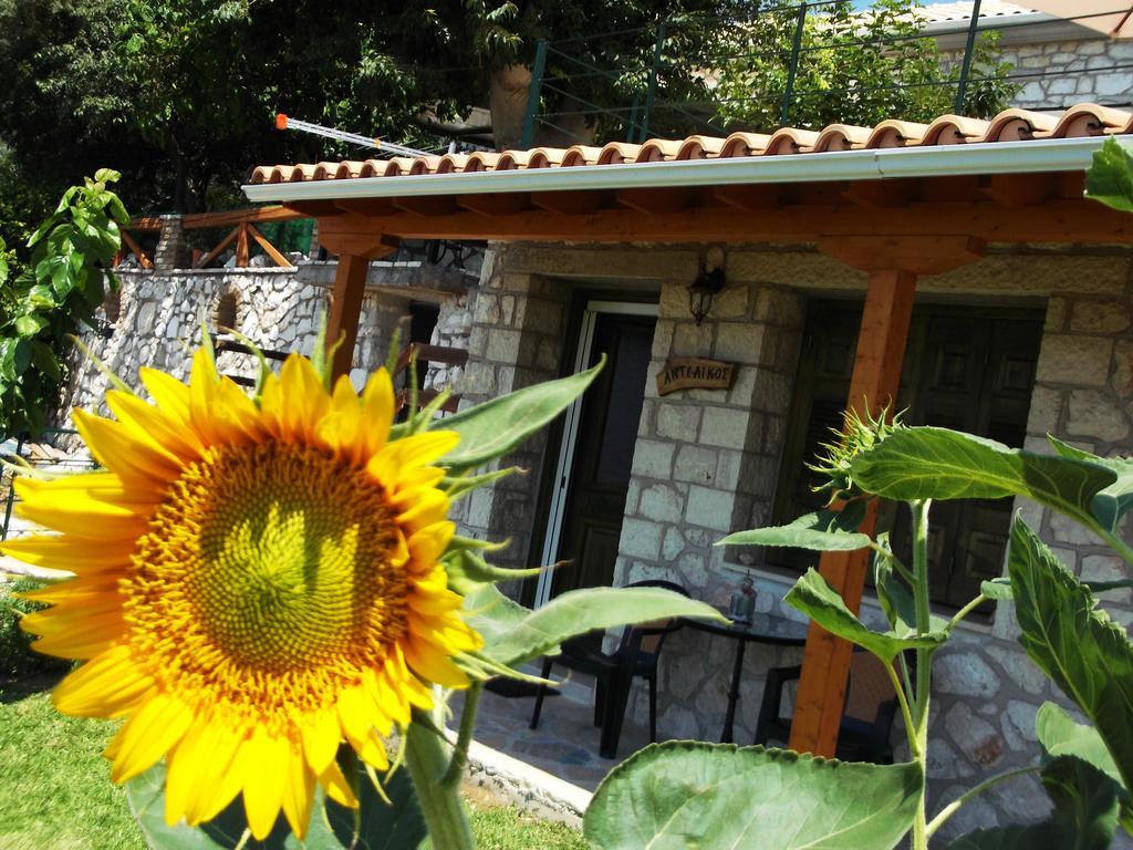 Sivros Stone Cottages エクステリア 写真